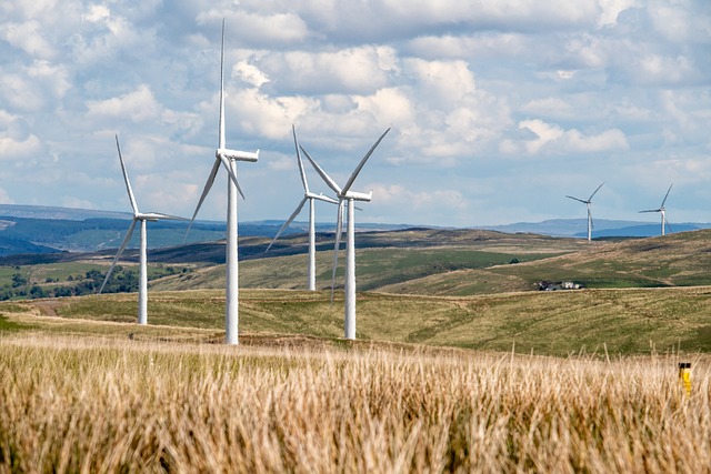 Quels sont les moyens les plus efficaces de gérer l'utilisation des énergies renouvelables ?